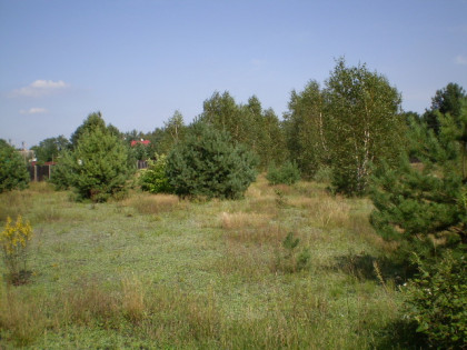 Dzialka w Kaszewcu, powiat Makowski