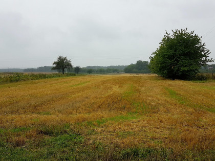 Działka Lublin Bursaki ul. Dłotlice