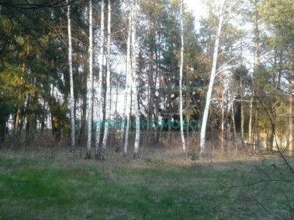 Działka, grunt na sprzedaż (woj. mazowieckie). Bieniewiec, 1 100 000 PLN