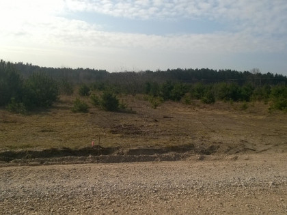 Działka rolna Dzierżązna