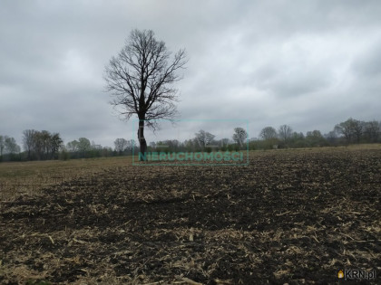 Działka, grunt na sprzedaż (woj. mazowieckie). Baranów, 124 800 PLN