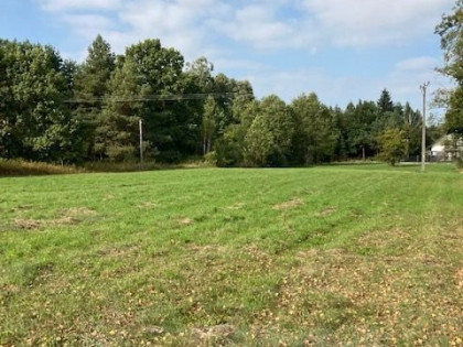 Działka, grunt na sprzedaż (woj. mazowieckie). Leoncin, 95 000 PLN