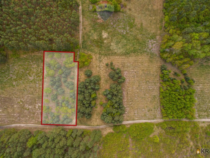 Działka, grunt na sprzedaż (woj. lubuskie). Słone, 291 500 PLN