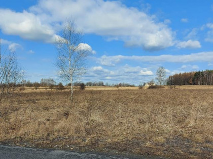 Działka Chruszczobród