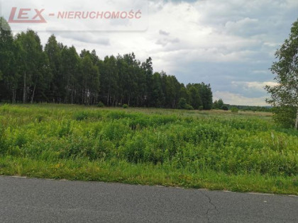 Działka Grabowa