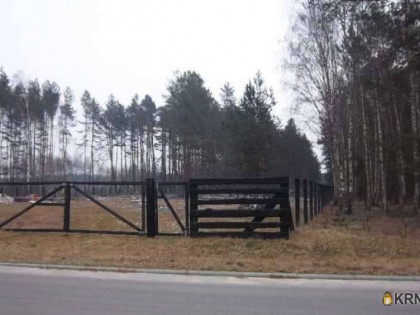 Działka, grunt na sprzedaż (woj. lubuskie). Radomia, 1 500 590 PLN