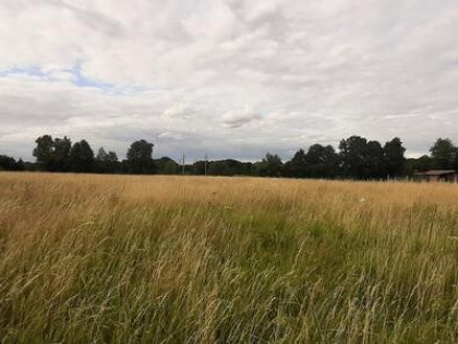 Atrakcyjnie położona działka 1,35 ha w Sulechowie