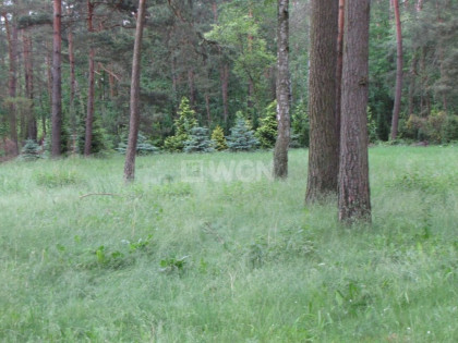 Działka budowlana Sokolniki-Las, ul. Okólna
