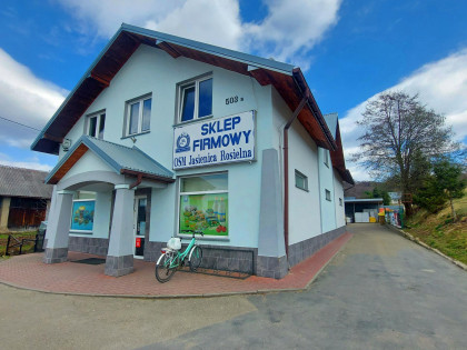 Lokal Blizne