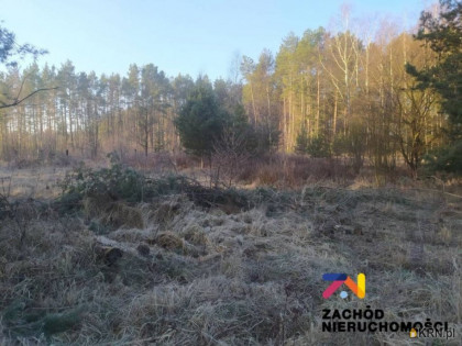 Działka, grunt na sprzedaż (woj. lubuskie). Radomia, 251 200 PLN