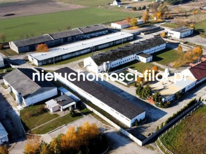 Lokal użytkowy Nowe Dąbie