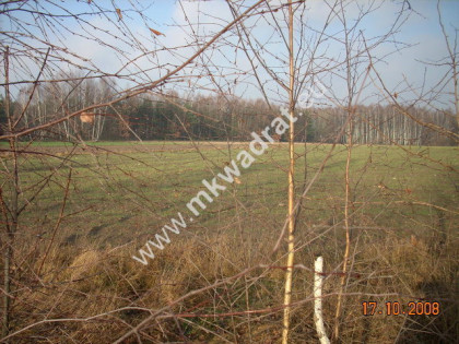 Działka Marków-towarzystwo