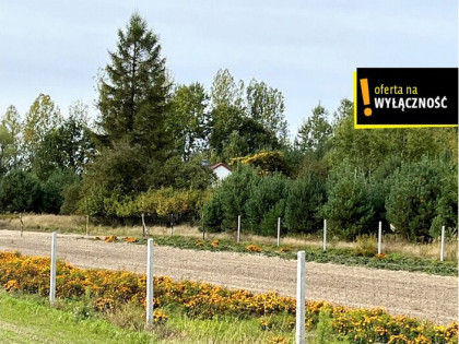 Dom + działka rolna 2,48 ha ** Biskupice **, oferta nr GH646147 nowość