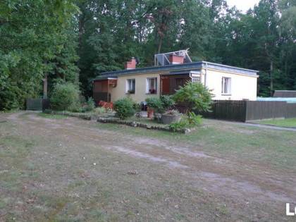 Sprzedam dom w miejscowości Adamowo