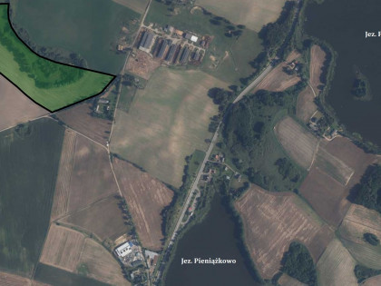 Działka rolna 11,75 ha Kolonia Ostrowicka, gmina Gniew