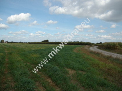 Teren pod mini osiedle mieszkaniowe 40 km od W-wy