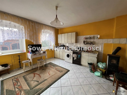 Dom na sprzedaż (woj. dolnośląskie). Olszyna, 350 000 PLN, 450,00 m2