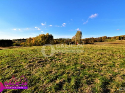 Działka, grunt na sprzedaż (woj. podkarpackie). Lubenia, 207 090 PLN