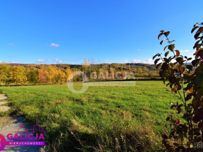 Działka, grunt na sprzedaż (woj. podkarpackie). Lubenia, 173 290 PLN