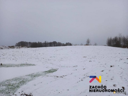 Działka, grunt na sprzedaż (woj. lubuskie). Zabór, 385 000 PLN