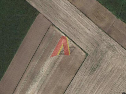 Działka Pałecznica ul. Pałecznica