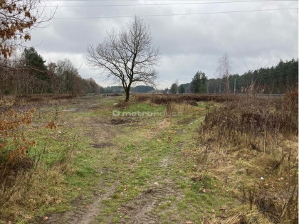 Działka na sprzedaż 31 469,00 m², oferta nr TOLI832 nowość