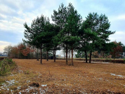 Działka budowlana na sprzedaż 15 minut autem od Warszawy