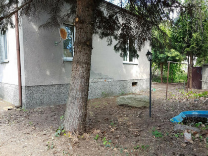 Dom Raszyn, Sasanki