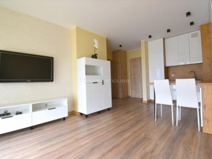 Mieszkanie do wynajęcia 34,10 m², piętro 2, oferta nr SIMO416 nowość Elbląg