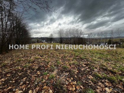Działka, grunt na sprzedaż (woj. podkarpackie). Tyczyn, 216 000 PLN