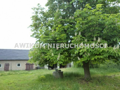 Działka Holendry Baranowskie gm. Baranów