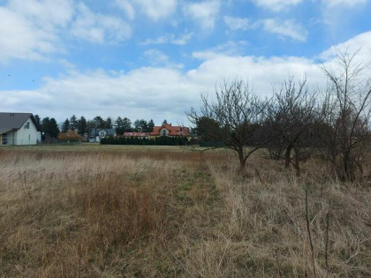 Aleksandrów kujawski dom siedlisko 0,6 ha sprzedam