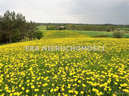 Działka, grunt na sprzedaż (woj. podlaskie). Karakule, ul. Zagumienna, 205 000 PLN