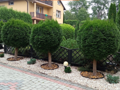 Dom Rzeszów Przybyszówka ul. false