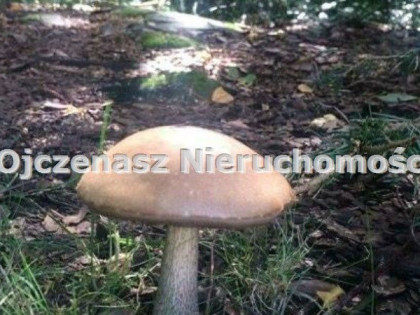 Działka budowlana