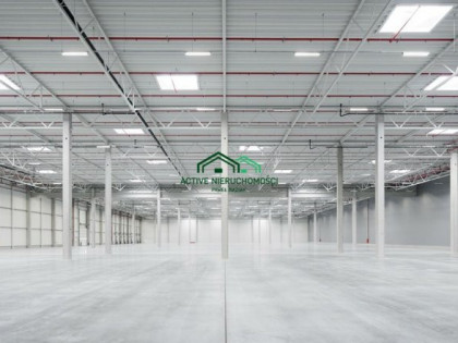 Magazyn do wynajęcia (woj. małopolskie). Modlniczka, 56 000 PLN, 2 400,00 m2