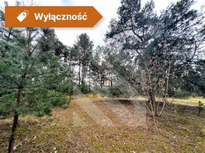 Działka usługowa Bydgoszcz Kapuściska