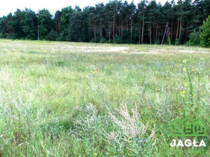 Działka rolna Bydgoszcz Zamczysko