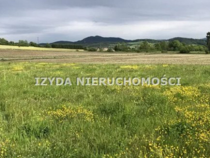Działka, grunt na sprzedaż (woj. dolnośląskie). Gostków, 74 000 PLN