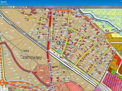 Działka, Czarnowąsy