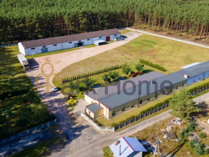 Dom na sprzedaż (woj. lubuskie). Siedlisko, 1 350 000 PLN, 1 283,80 m2