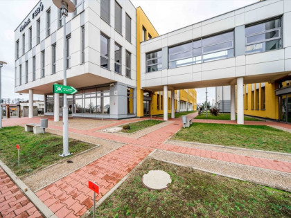 Lokal użytkowy na wynajem