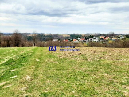Duża, widokowa działka, 77ar, Wola Rafałowska