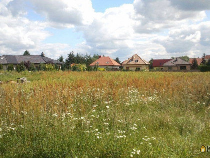 Działka, grunt na sprzedaż (woj. wielkopolskie). Tarnowo Podgórne, 9 000 000 PLN