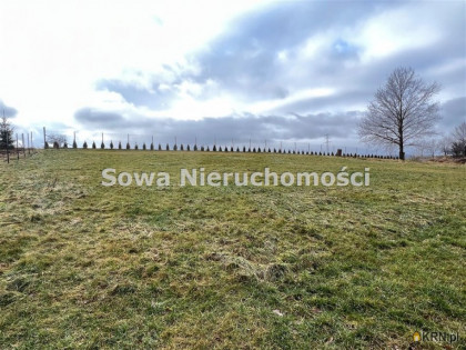 Dom na sprzedaż (woj. dolnośląskie). Sady Dolne, 783 000 PLN, 180,00 m2