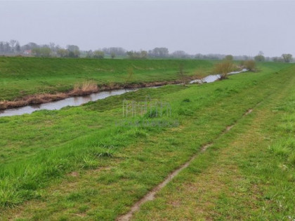 Działka, grunt na sprzedaż (woj. mazowieckie). Opacz, 2 136 000 PLN