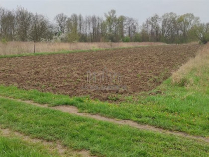 Działka, grunt na sprzedaż (woj. mazowieckie). Bielawa, 195 810 PLN
