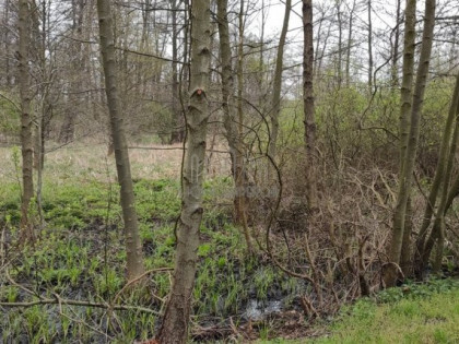 Działka, grunt na sprzedaż (woj. mazowieckie). Bielawa, 457 200 PLN