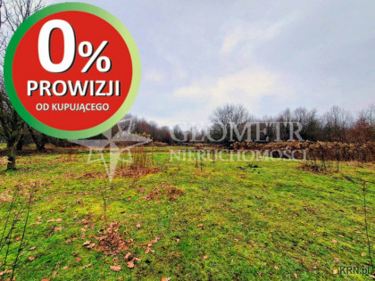 Działka, grunt na sprzedaż (woj. mazowieckie). Rajszew, 498 000 PLN