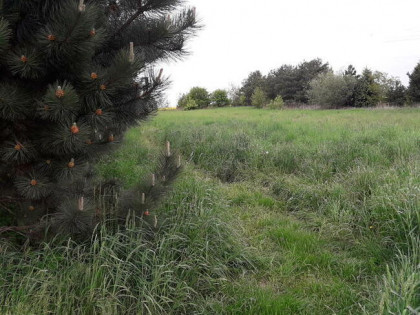 widokowa działka budowlana -Sobianowice gm. Wólka Lubelska